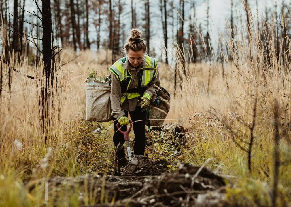 #11. Forestry and Conservation Science Teachers, Postsecondary